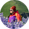 Viaggiatore con un berretto rosso e una giacca colorata che cammina attraverso un campo di lupini viola in Islanda.