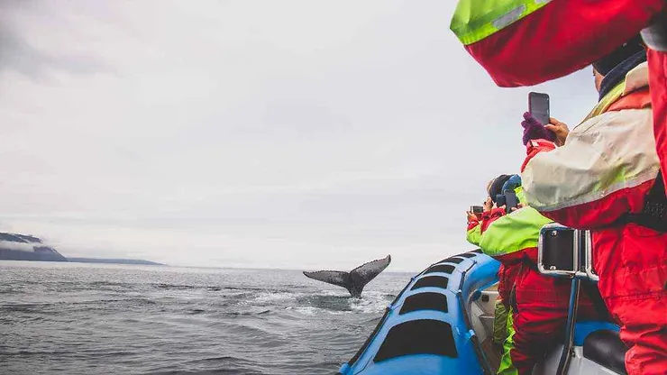 Una scena emozionante di un gruppo di turisti a bordo di un gommone, mentre osservano una balena che emerge dall'acqua.