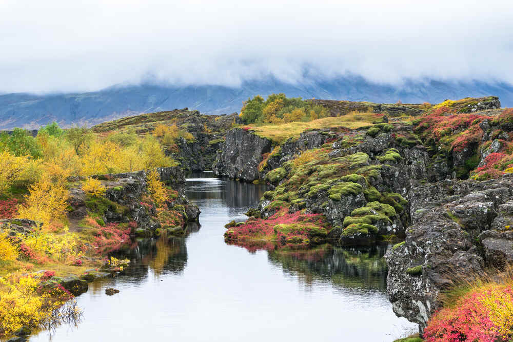 Un canyon colorato in autunno nel Parco Nazionale di Thingvellir, con rocce coperte di muschio, arbusti rossi e gialli, e un fiume calmo che scorre al centro. Le montagne sono avvolte da una leggera foschia sullo sfondo.