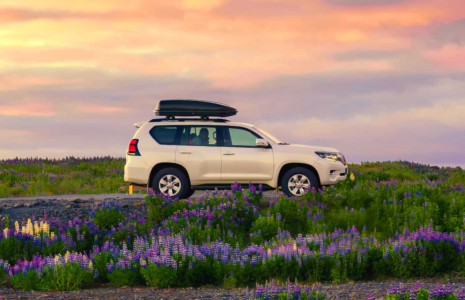 Toyota Land Cruiser 150. Una delle migliori opzioni di noleggio 4x4 in Islanda, progettato per affrontare le strade F, le strade degli altopiani e i terreni sterrati più difficili, con trazione integrale e chilometraggio illimitato.